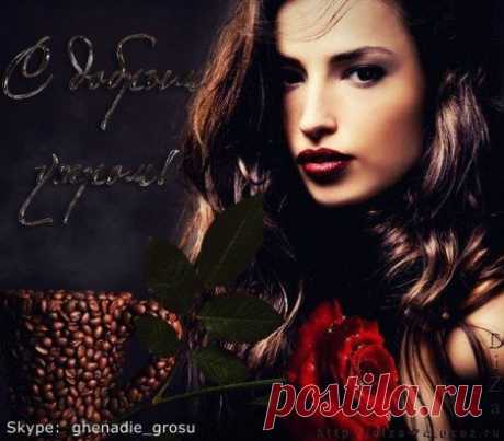 С добрым утром Skype: ghenadie_grosu