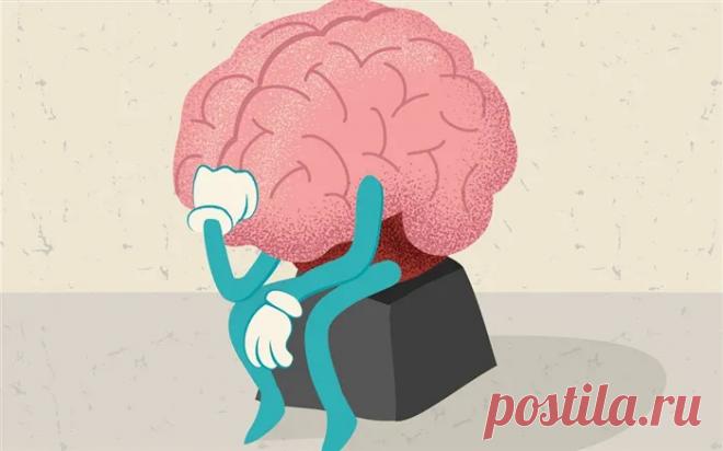 25 когнитивных упражнений для пластичности мозга. Тренировка мозга и памяти упражнения. | Mad Girls