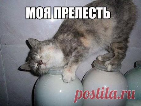 Моя прелесть )))