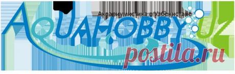 Можно ли использовать растения с озера в аквариуме? - Водные и болотные растения - Аквариумистика в Узбекистане