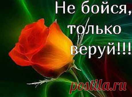 Не бойся! Веруй!