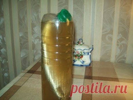 Засолка сельди в пластиковой бутылке