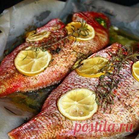 Вкусная рыба в духовке  / Изысканные кулинарные рецепты