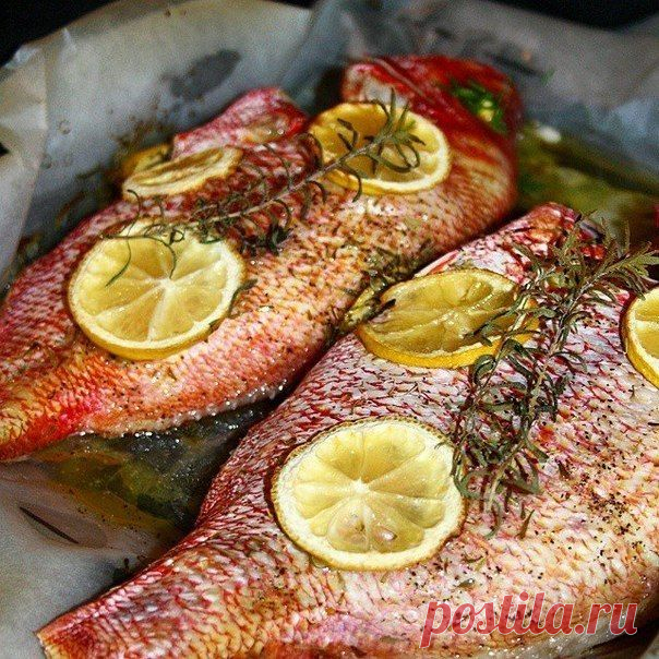 Вкусная рыба в духовке  / Изысканные кулинарные рецепты