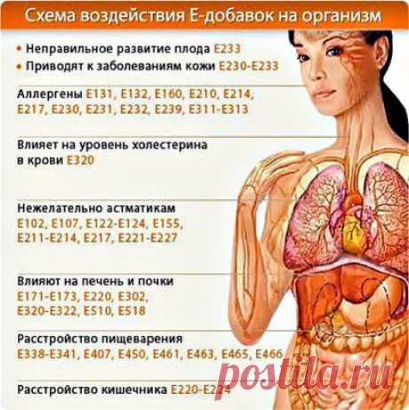 Одноклассники