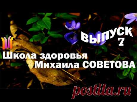 Елена Ситникова