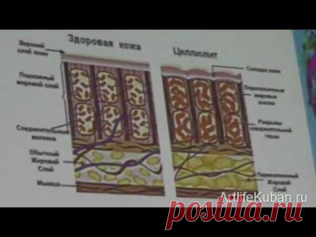 Юник - Все секреты от професссора Деменко.