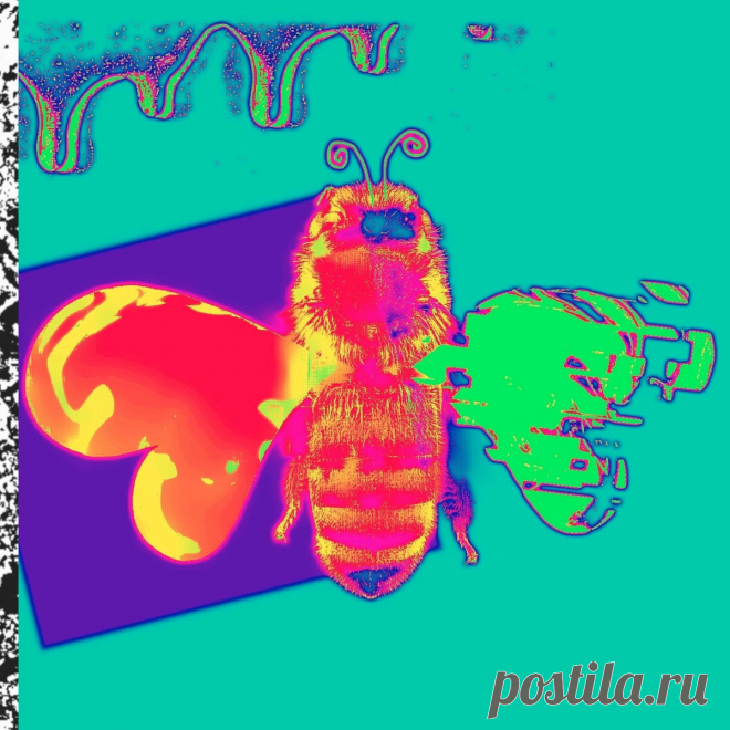 Soft Kill - Feel This High (Single) (2025) 320kbps / FLAC