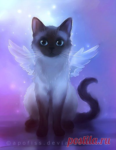 (35) Pinterest