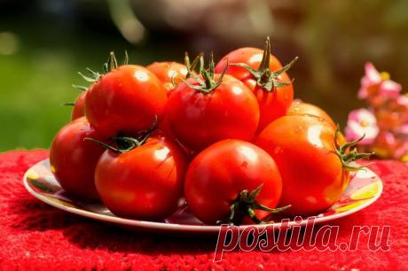 На какую глубину сажать семена помидор? При выращивании рассады важным считается каждый этап, от подготовки семян и до высадки рассады в лунки на постоянное место. А ведь даже опытные аграрии не знают о всех нюансах выращивания рассады. А н...