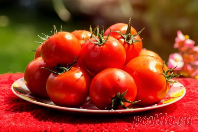 На какую глубину сажать семена помидор? При выращивании рассады важным считается каждый этап, от подготовки семян и до высадки рассады в лунки на постоянное место. А ведь даже опытные аграрии не знают о всех нюансах выращивания рассады. А н...