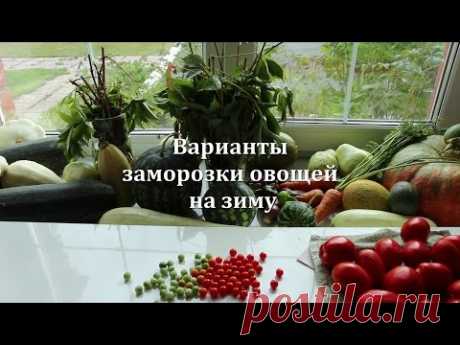 Заморозка овощей на зиму: помидоры, огурцы, перцы, кабачки, баклажаны и другое:)