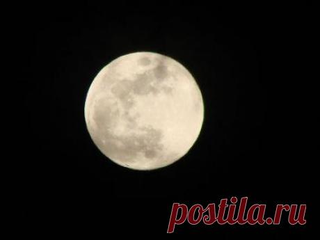 Лунный посевной календарь огородника на 2016 год.