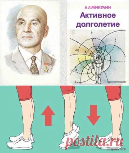 КАК ПОЛЬЗОВАТЬСЯ ДОПОЛНИТЕЛЬНЫМИ ЛАПКАМИ ДЛЯ ШВЕЙНЫХ МАШИН JANOME И FAMILY