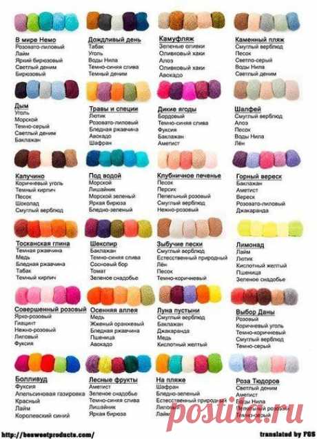 (813) Pinterest