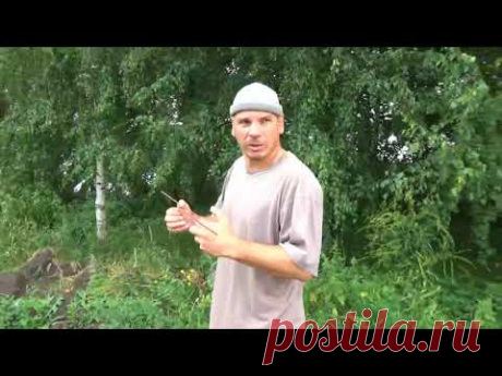 🐺Как узнать есть ли вода на участке👀 и определить  её жесткость без лаборатории.🔍