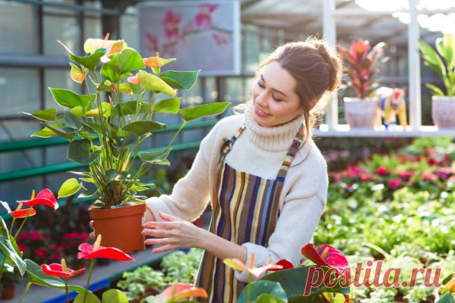 Бизнес-идеи, которые подойдут для любителей растений Какие 6 идей для бизнеса прекрасно подойдут для любителей растений и помогут зарабатывать хорошие деньги.