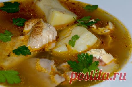 ШУЛЮМ ИЗ ДОМАШНЕЙ КУРИЦЫ. Танцы от плиты и до компа!!!
Здесь я описала рецепт шулюма из домашней курицы. Приготовление этого шулюма начинается с обжариванием до золотистого цвета кусков курицы, после чего птица была потушена …