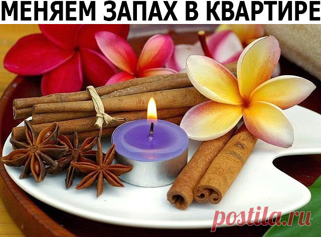 Убираем неприятные запахи отовсюду при помощи эфирных масел.