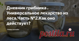 Дневник грибника . Универсальное лекарство из леса.Часть №2.Как оно действует? Сказочные 