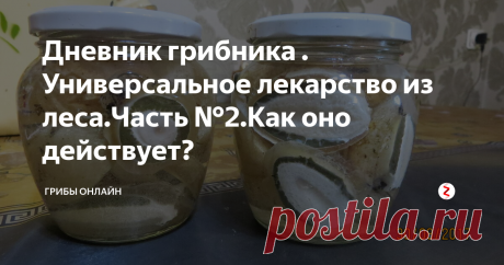 Дневник грибника . Универсальное лекарство из леса.Часть №2.Как оно действует? Сказочные "молодильные яблоки"скорее всего были не яблоками ,
а  "яйцами ".
Эти яйца с приходом  христианства стали получили названия- "ведьмины","чертовы" и другие  нелицеприятные  эпитеты.
А яйца - это молодые плодовые тела Веселки  обыкновенной и ее сородичей,сейчас редко встречающихся.