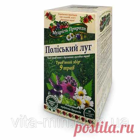 Травяной сбор 9 трав «Полесский луг», «Поліський чай», 30 гр./ 20 пакетиков Чай — напиток, получаемый варкой, завариванием и настаиванием. Вкусный и полезный травяной чай без ароматизаторов и красителей. Мята повышает аппетит, снимает стресс, избавляет от депрессии, нормализует работу ЖКТ. Антиоксидантные свойства эхинацеи позволяют снизить количество вредного холестерина в крови, очистить сосуды от бляшек и повысить их эластичность. Фиалка полезна при воспалении верхних д...