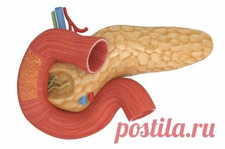Нам многое недоговаривали о поджелудочной железе! 5 врачебных советов: как следить за поджелудочной?