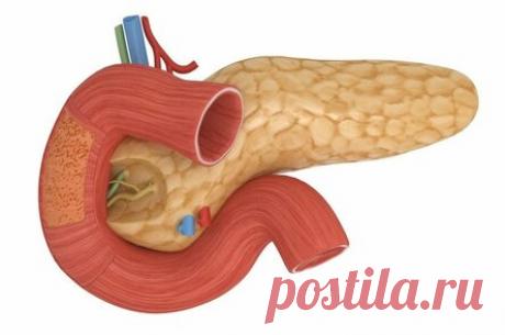 Нам многое недоговаривали о поджелудочной железе! 5 врачебных советов: как следить за поджелудочной?