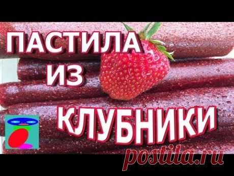 Пастила из клубники. Пастила из ягод.