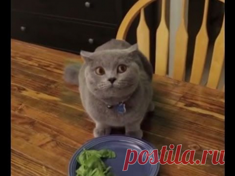 When you don't finish your plate By Aaron's Animals