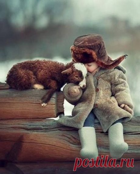 (1132) Pinterest
