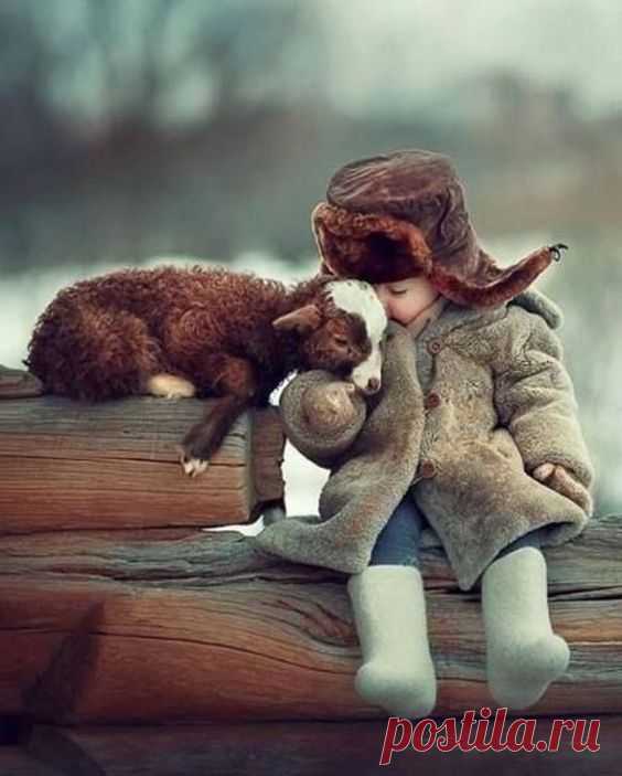 (1132) Pinterest