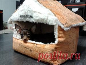 Мастер-класс: как сделать домик для собаки своими руками?