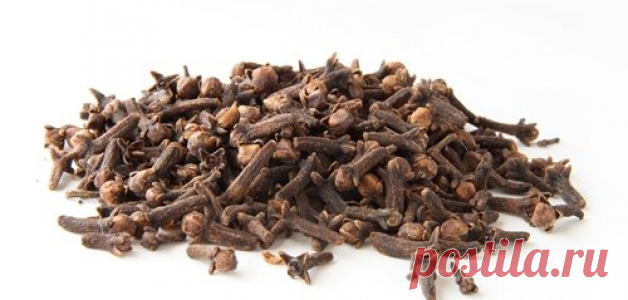 Гвоздика – польза и полезные свойства гвоздики