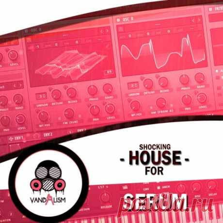 Vandalism Shocking House For XFER RECORDS SERUM  | 22.3MB
'Shocking House For Serum' is a next generation House soundset. It brings you top-notch and up-to-date essential content to producers that are loving modern and unique sounds

Download at:

https://audioclub.store/uncategorized/shocking-house-for-xfer-records-serum/