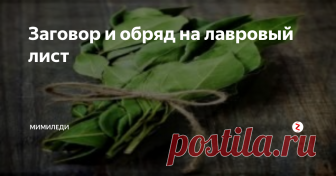 Заговор и обряд на лавровый лист Заговор на лавровый лист проводится на протяжении столетий. В каждом доме сейчас можно увидеть эту пряность, хотя мало кто догадывается о его магической силе. Много веков назад люди использовали лавровый лист для колдовских ритуалов, чтобы изгнать злых духов и притянуть к себе положительную энергетику.
Особенности ритуалов и заговоров с лавровым листом
Секрет лаврового листа заключается в мощной с