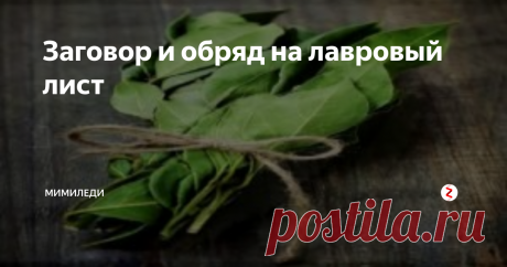 Заговор и обряд на лавровый лист Заговор на лавровый лист проводится на протяжении столетий. В каждом доме сейчас можно увидеть эту пряность, хотя мало кто догадывается о его магической силе. Много веков назад люди использовали лавровый лист для колдовских ритуалов, чтобы изгнать злых духов и притянуть к себе положительную энергетику.
Особенности ритуалов и заговоров с лавровым листом
Секрет лаврового листа заключается в мощной с