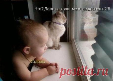 СМЕШНАЯ ГАЛЕРЕЯ ФОТОПРИКОЛОВ | Чёрт побери