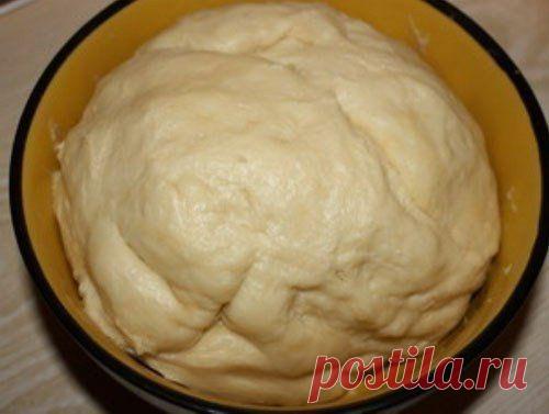 Земфира Заболотная