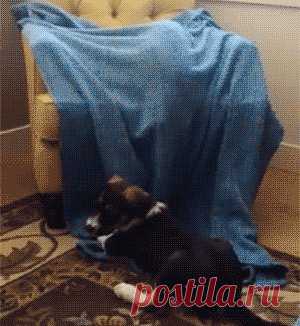 Одноклассники