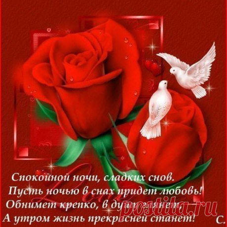 (1) Ты моя Нежность