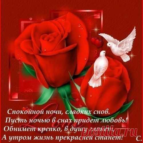 (1) Ты моя Нежность