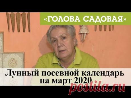 Голова садовая - Лунный посевной календарь на март 2020