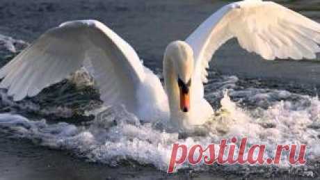 Giovanni Marradi - Only You - YouTube