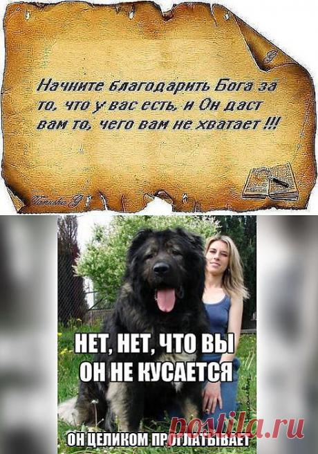 Одноклассники