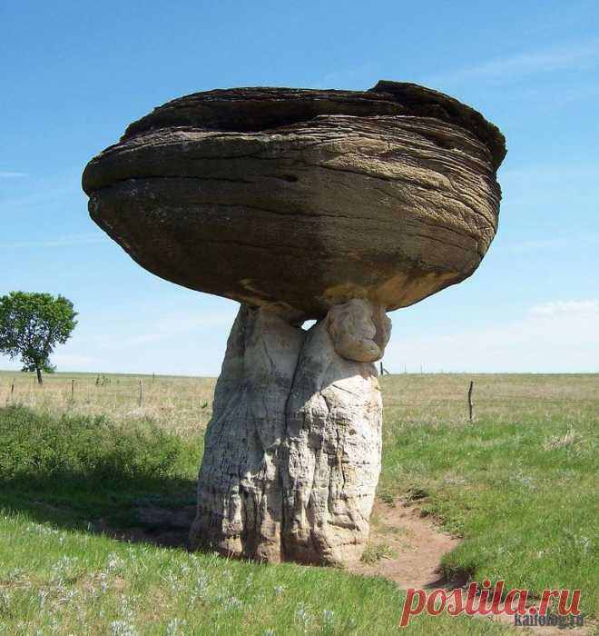 Каменная чаша.