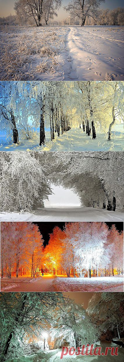 Лучшие фото – Пейзажи/Флора – Community – Google+