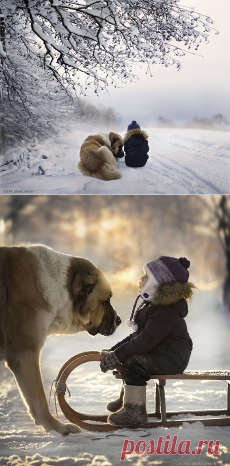 35PHOTO - Elena Shumilova - ..свет в доме..
