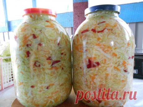 АССОРТИ ИЗ РАННЕЙ КАПУСТЫ.