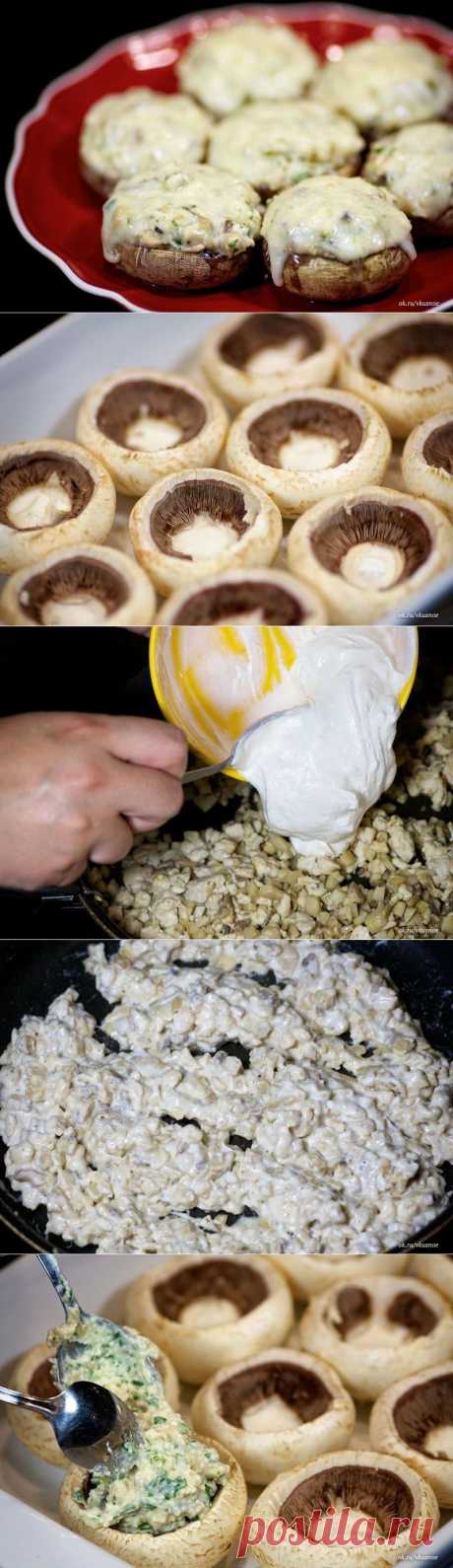Шампиньоны с курицей и сыром » В сети – себя просвети! - Развлекательный портал!